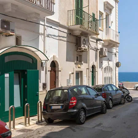 Wepuglia - Arimondi 10 *
