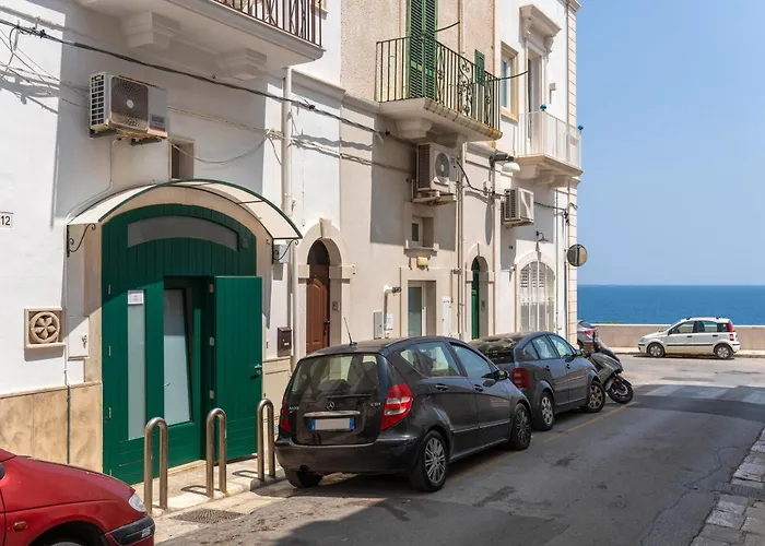 Wepuglia - Arimondi 10 *